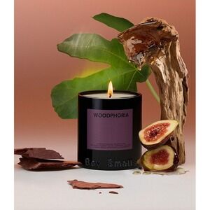 Woodphoria Candle | Boy Smells